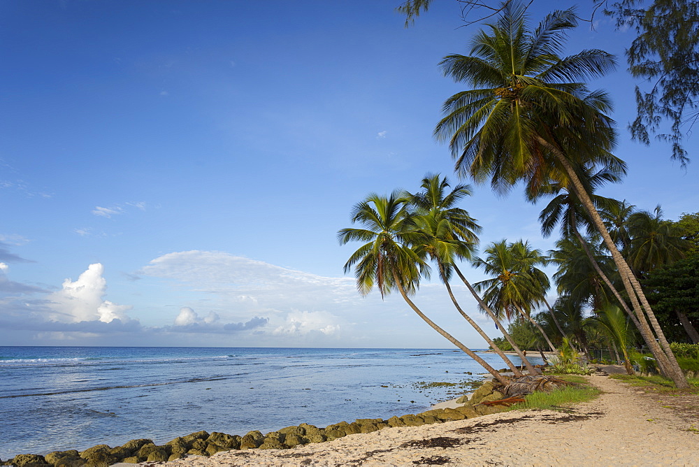 Hastings Beach, Bridgetown, Christ Church, Barbados, West Indies, Caribbean, Central America