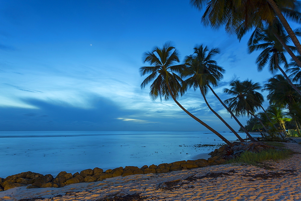 Savannah Beach, Bridgetown, Christ Church, Barbados, West Indies, Caribbean, Central America