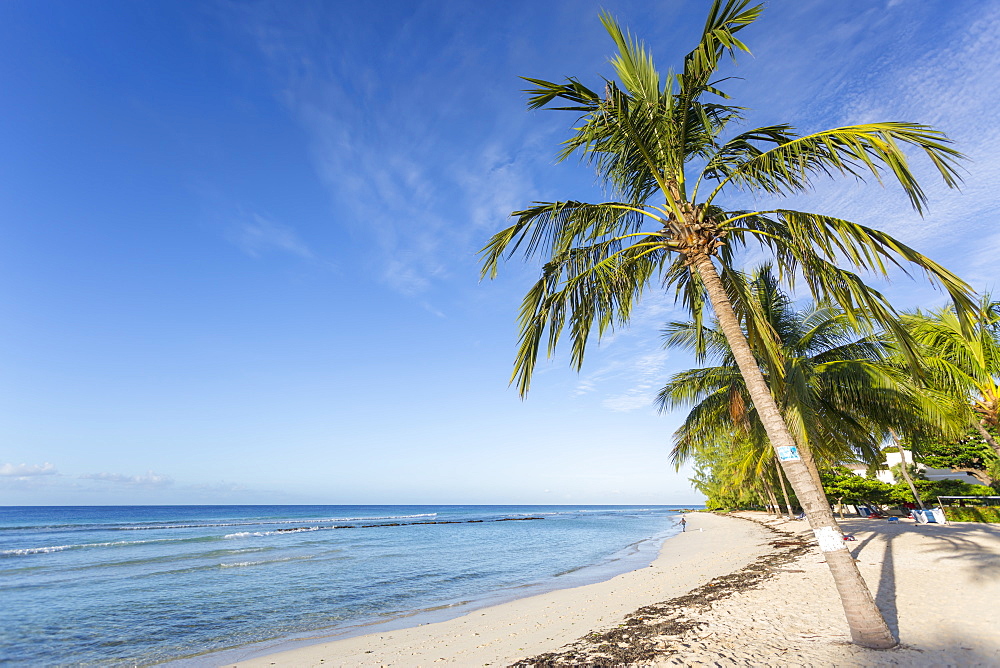 Savannah Beach, Bridgetown, Christ Church, Barbados, West Indies, Caribbean, Central America