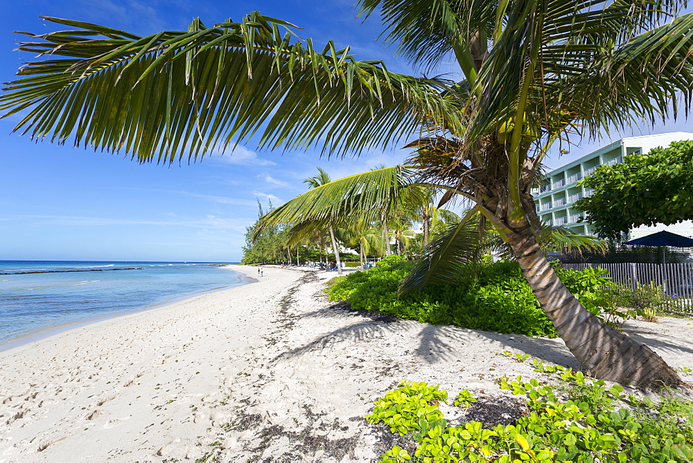 Hastings Beach, Christ Church, Barbados, West Indies, Caribbean, Central America