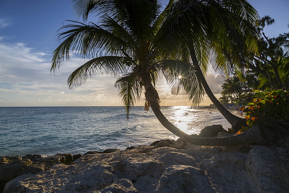 Maxwell Beach, Christ Church, Barbados, West Indies, Caribbean, Central America