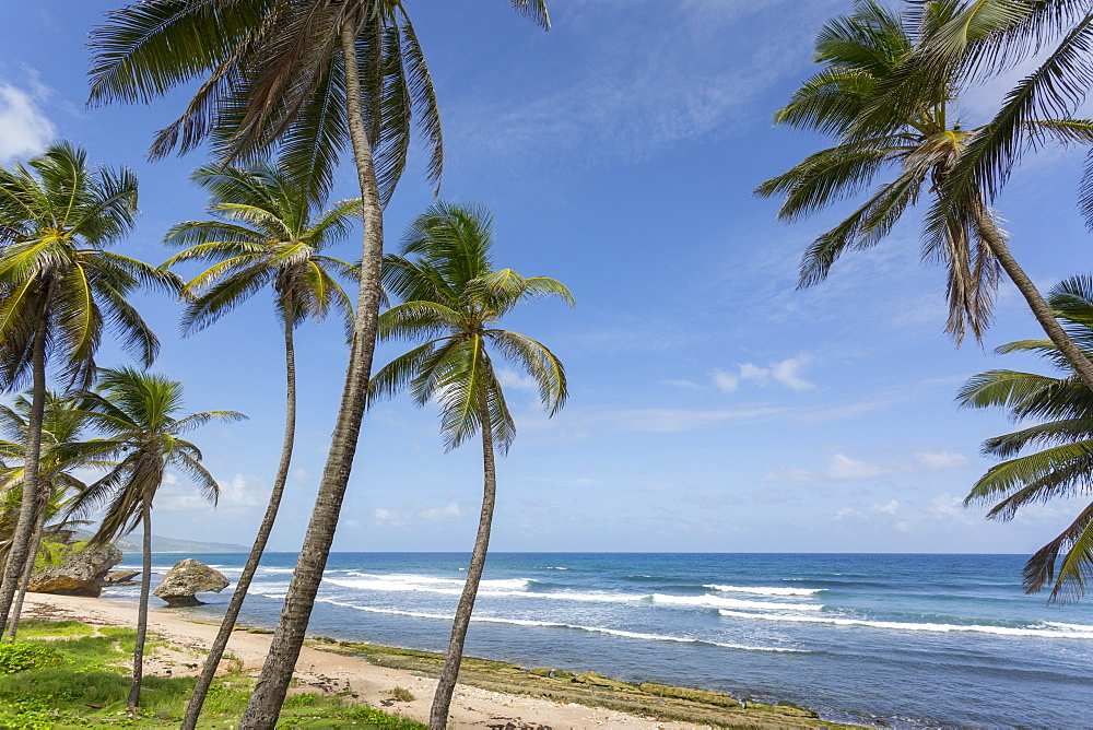 Beach, Bathsheba, St. Joseph, Barbados, West Indies, Caribbean, Central America