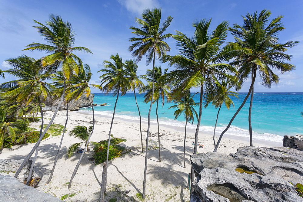 Bottom Bay, St. Philip, Barbados, West Indies, Caribbean, Central America