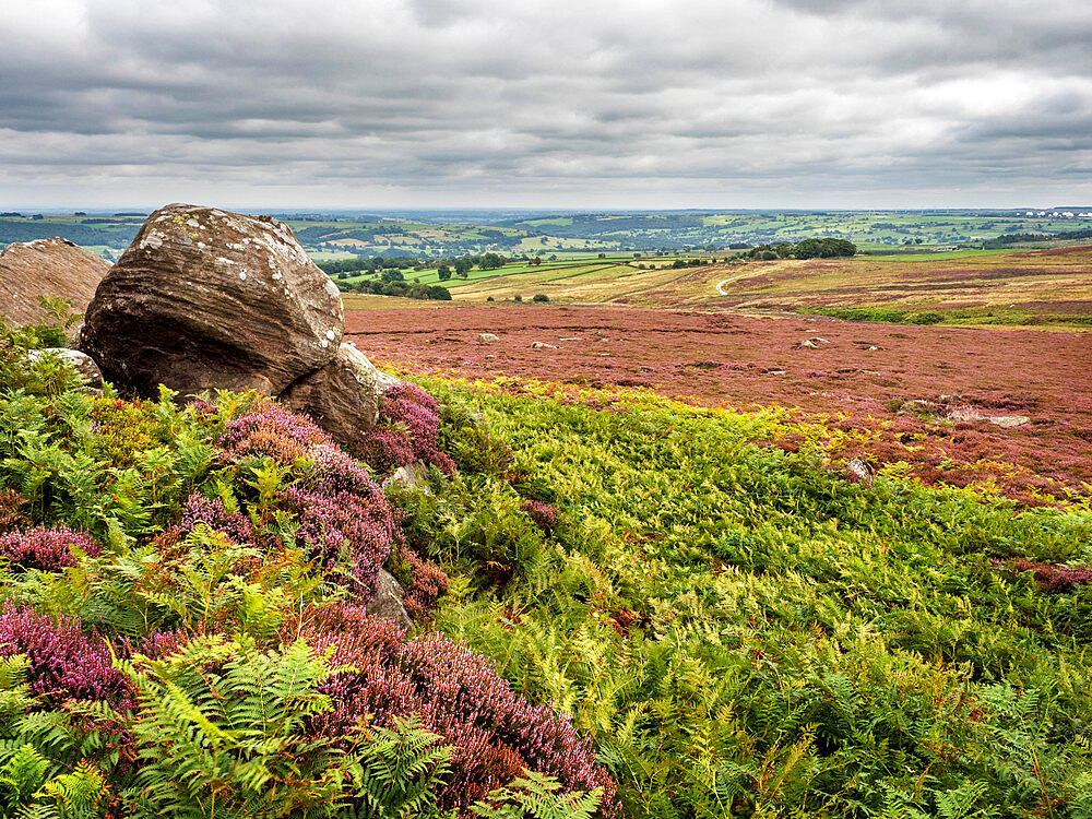 High Crag near Pateley Bridge in Nidderdale, Yorkshire, England, United Kingdom, Europe