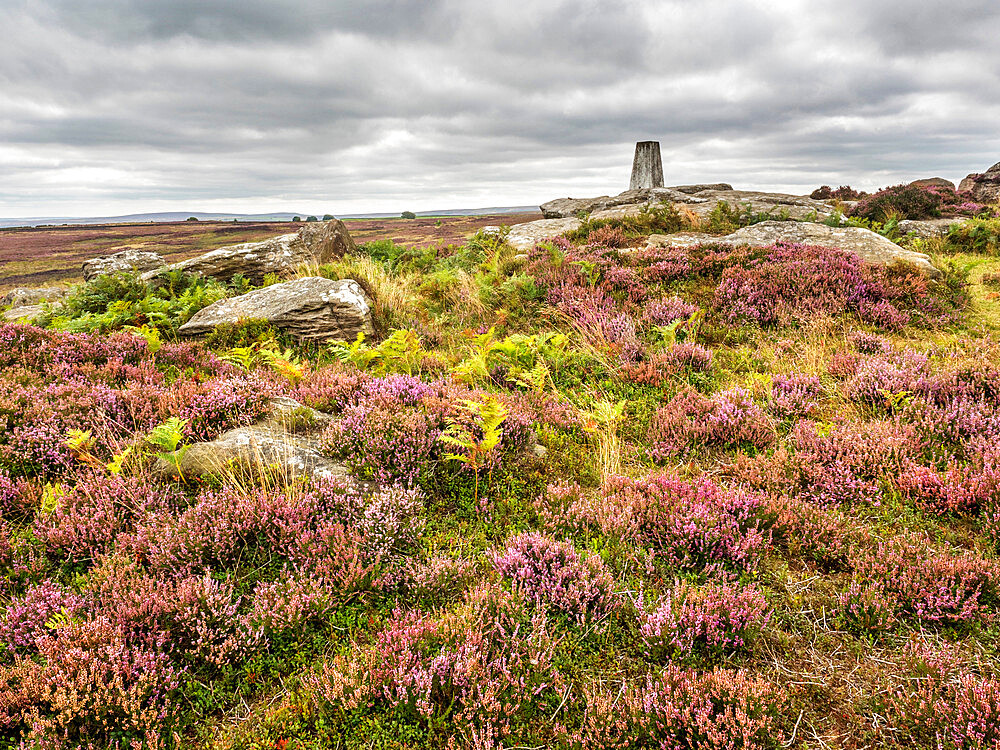 High Crag near Pateley Bridge in Nidderdale, Yorkshire, England, United Kingdom, Europe