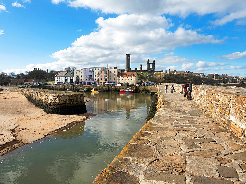 St. Andrews Cathedral from the Harbour, St. Andrews, Fife, Scotland, United Kingdom, Europe