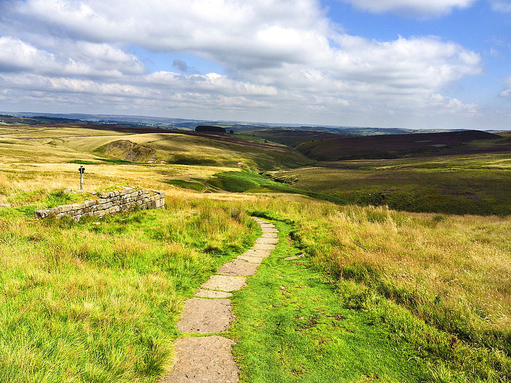 Path across Haworth Moor, Yorkshire, England, United Kingdom, Europe