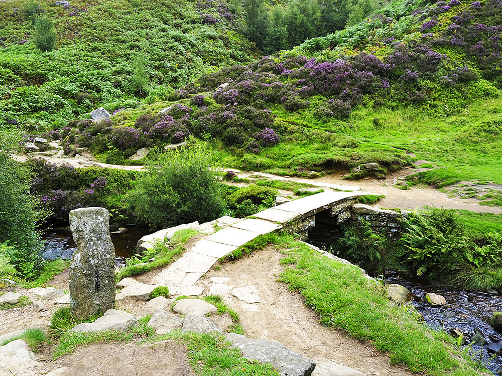 Bronte Bridge on Haworth Moor, Yorkshire, England, United Kingdom, Europe