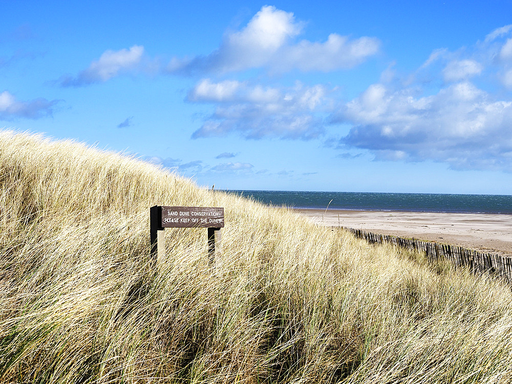 Dunes at the West Sands in St. Andrews, Fife, Scotland, United Kingdom, Europe