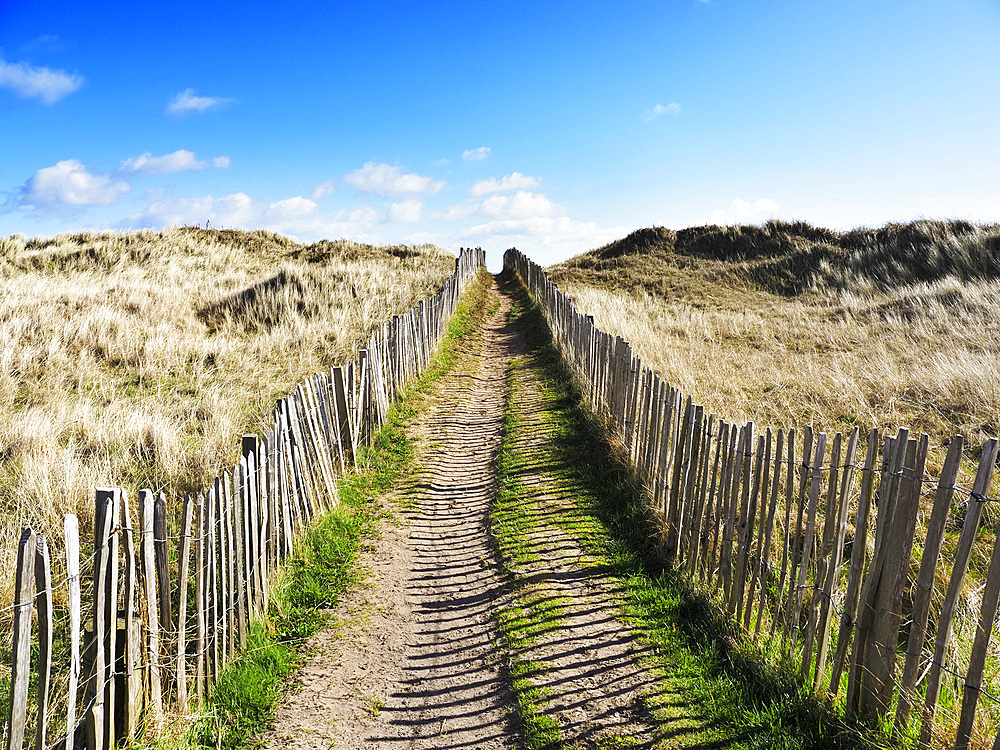 Dunes at the West Sands in St. Andrews, Fife, Scotland, United Kingdom, Europe