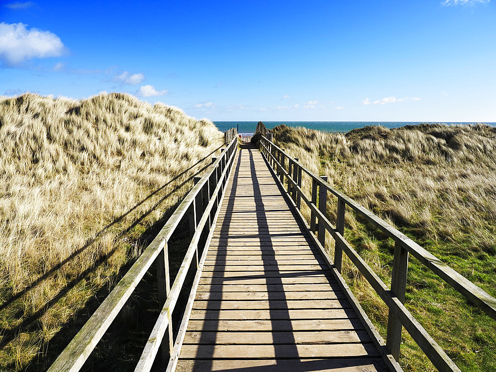 Dunes at the West Sands in St. Andrews, Fife, Scotland, United Kingdom, Europe