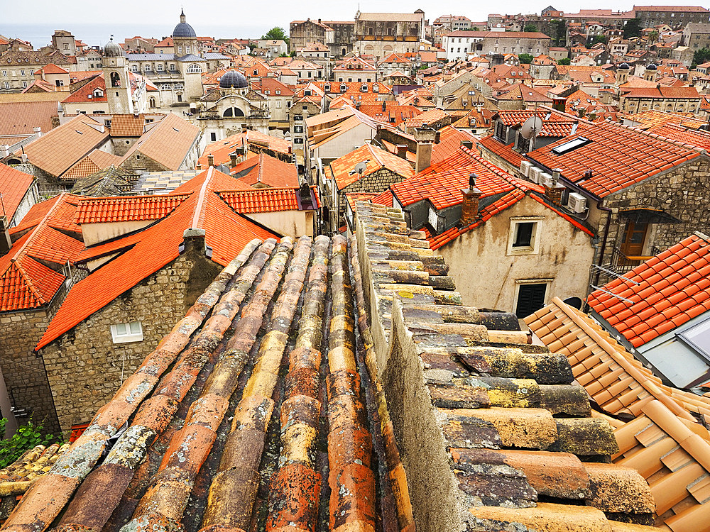 Rooftops of Dubrovnik from the City Walls, UNESCO World Heritage Site, Dubrovnik, Croatia, Europe