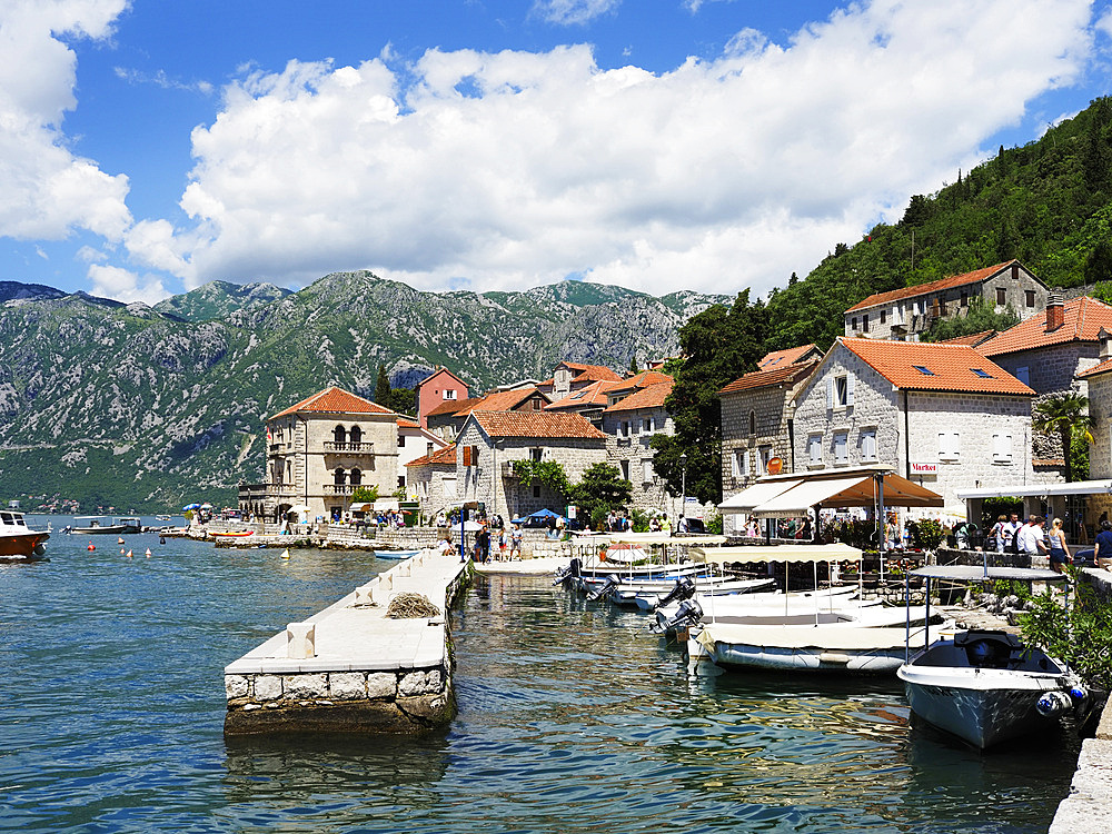 Perast Marina, Perast, Montenegro, Europe