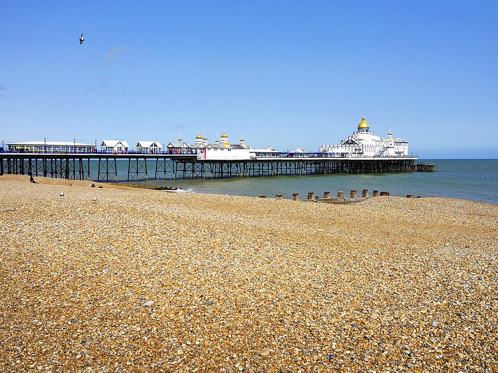 Shingle Beach and Pier at Eastbourne