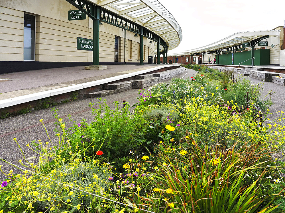 Flowers at Folkestone Harbour Station in Folkestone Kent