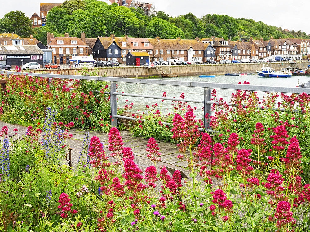 Flowers at Folkestone Harbour Viaduct and Swing Bridge Folkestone Kent