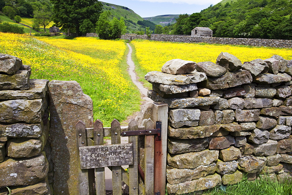 Winter Food for Stock sign on gate in meadow at Muker, Swaledale, Yorkshire Dales, Yorkshire, England, United Kingdom, Europe