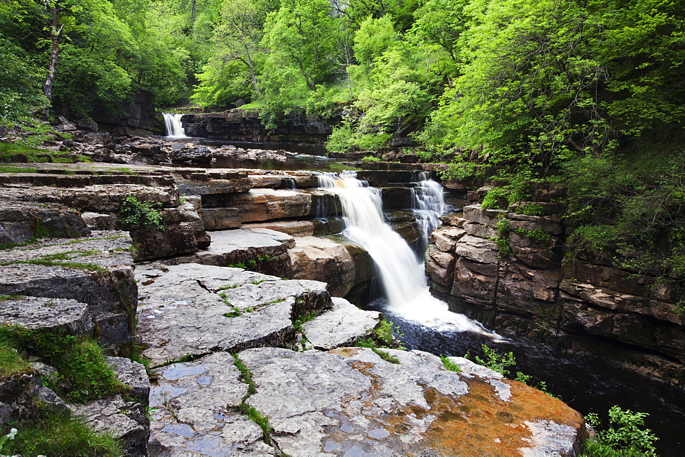 Kisdon Force on the River Swale near Keld, Swaledale, Yorkshire Dales, Yorkshire, England, United Kingdom, Europe