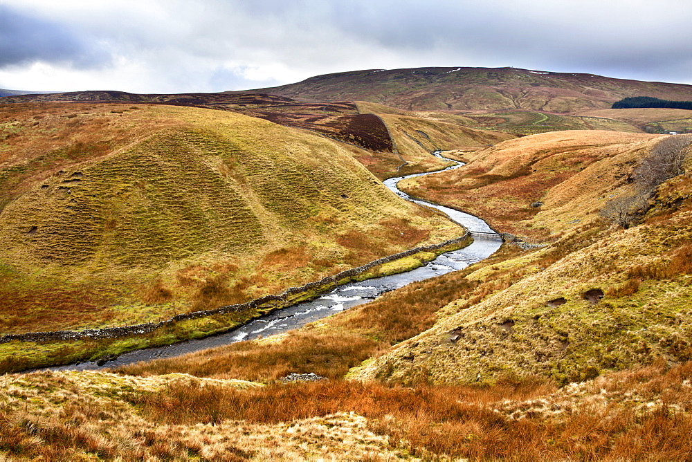 Grisedale Beck Meanders below Baugh Fell toward Garsdale Head in the Yorkshire Dales, Cumbria, England, United Kingdom, Europe