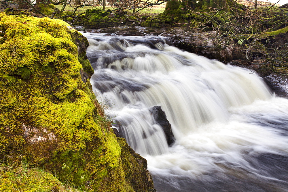 Mossy rock and waterfall on Grisedale Beck near Garsdale Head, Yorkshrie Dales, Cumbria, England, United Kingdom, Europe