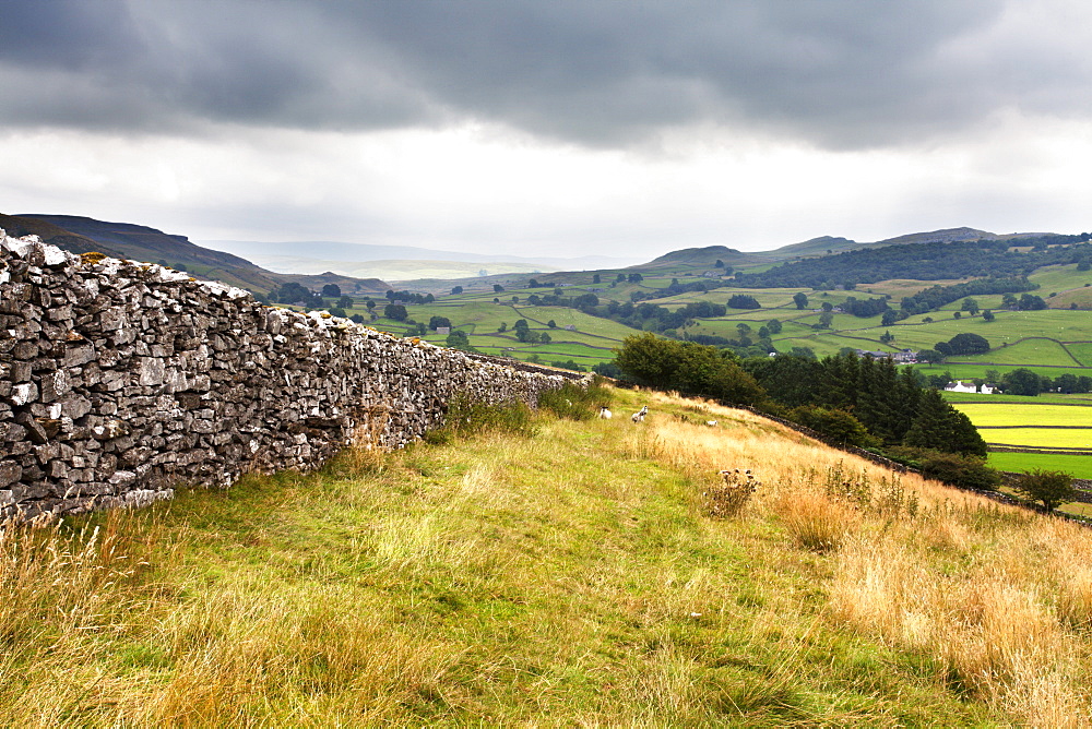 Dry stone wall and Public Footpath in Crummack Dale, Yorkshire, England, United Kingdom, Europe