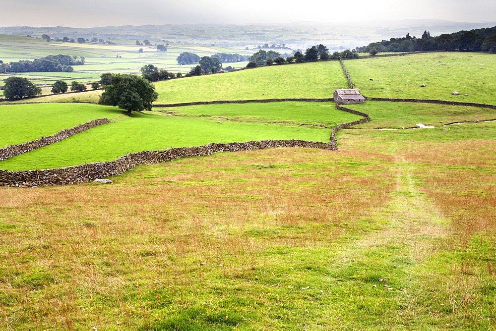 Footpath over meadows in Crummack Dale, Yorkshire, England, United Kingdom, Europe