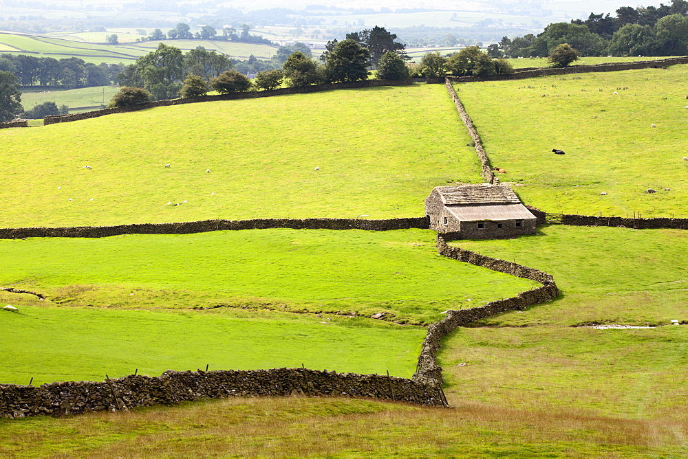 Field Barn and Dry Stone Walls in Crummack Dale, Yorkshire, England, United Kingdom, Europe