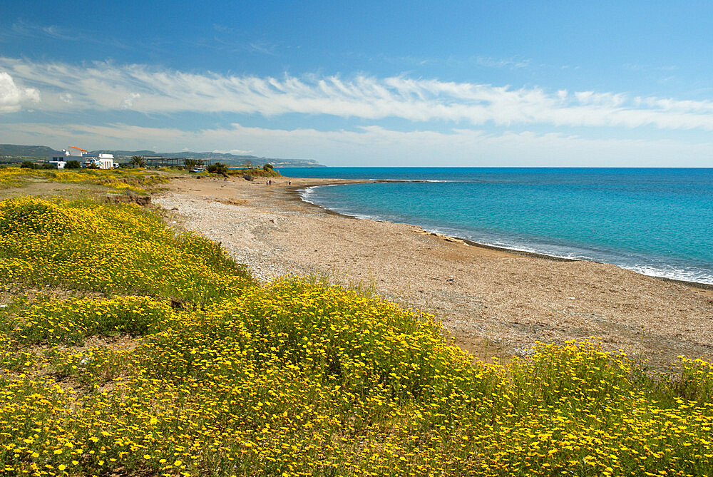 Secluded beach in spring, near Paphos, Cyprus, Mediterranean, Europe