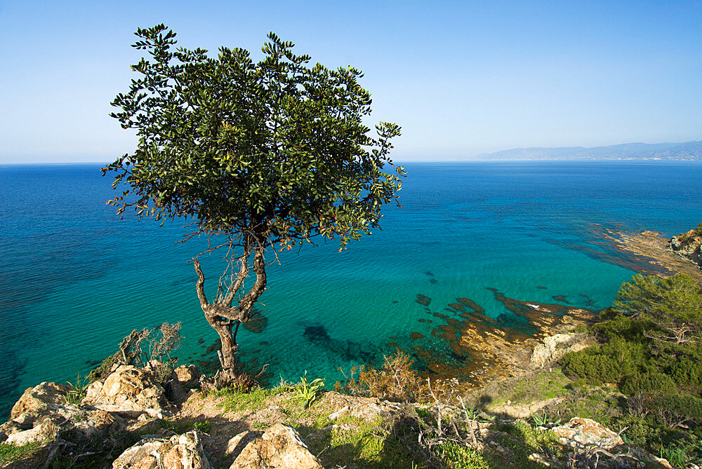 View along Chrysochou Bay on North West coast, near Latsi, Cyprus, Mediterranean, Europe