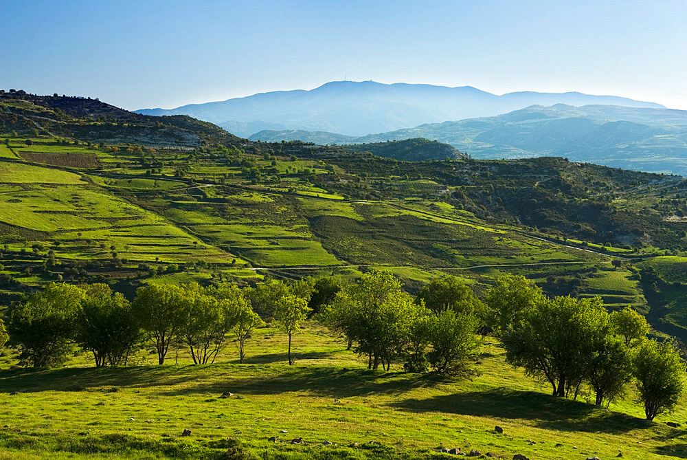 View over High Troodos Mountains to Mount Olympos, Troodos Mountains, Cyprus, Europe