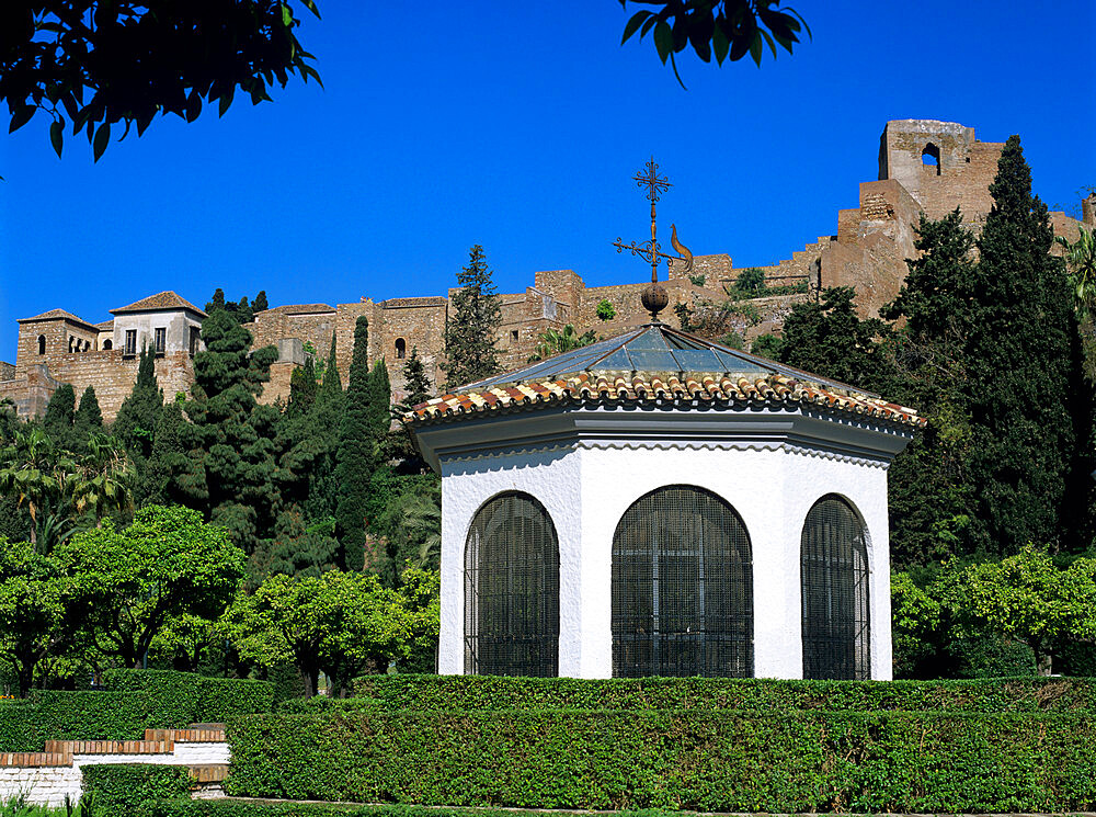 Alcazaba viewed from gardens, Malaga, Andalucia, Spain, Europe