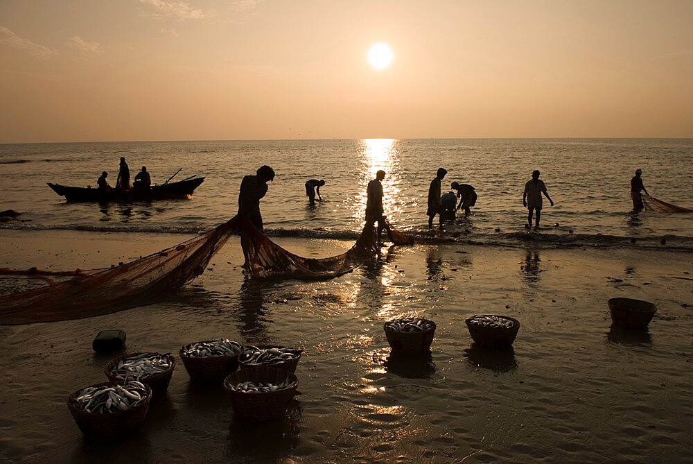 Local fishermen landing catch at sunset, Benaulim, Goa, India, Asia