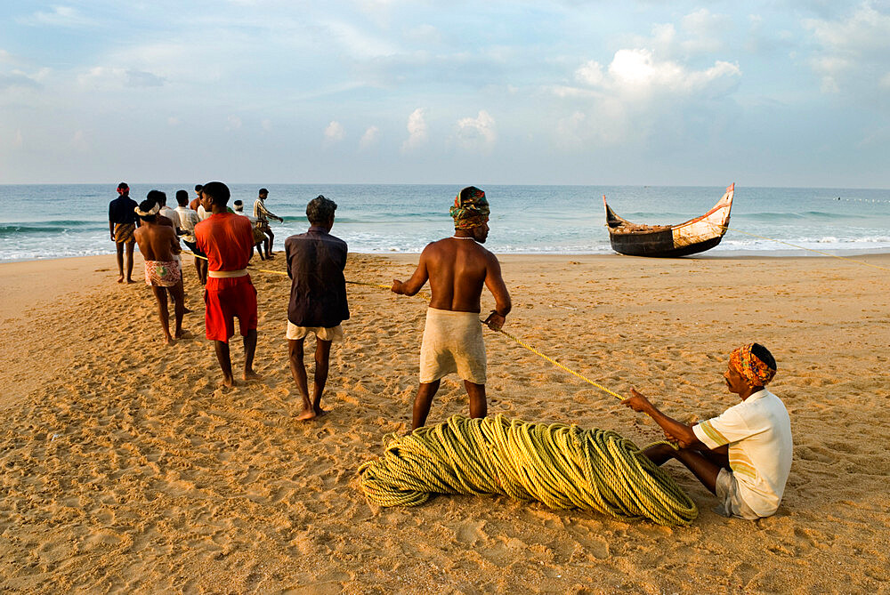 Fishermen hauling in nets at sunrise, Chowara Beach, near Kovalam, Kerala, India, Asia