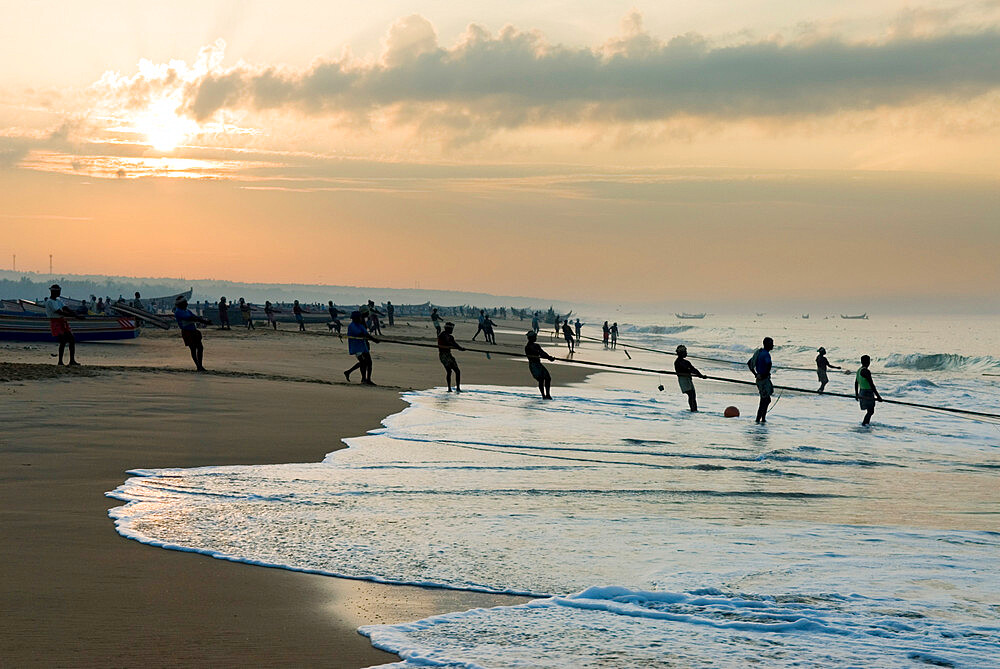 Fishermen hauling in nets at sunrise, Chowara Beach, near Kovalam, Kerala, India, Asia