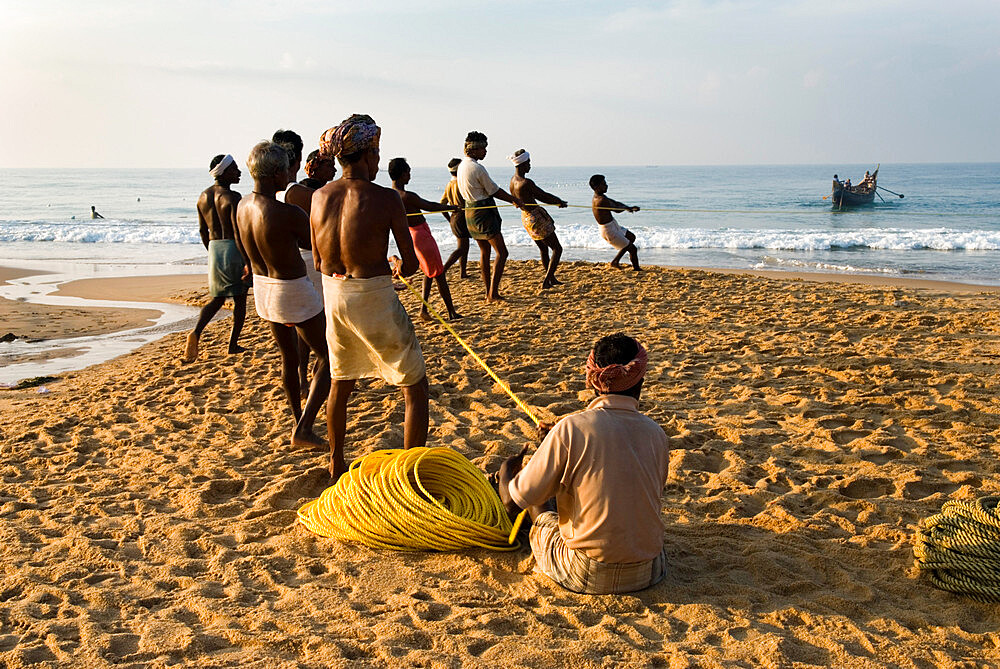 Fishermen hauling in nets at sunrise, Chowara Beach, near Kovalam, Kerala, India, Asia