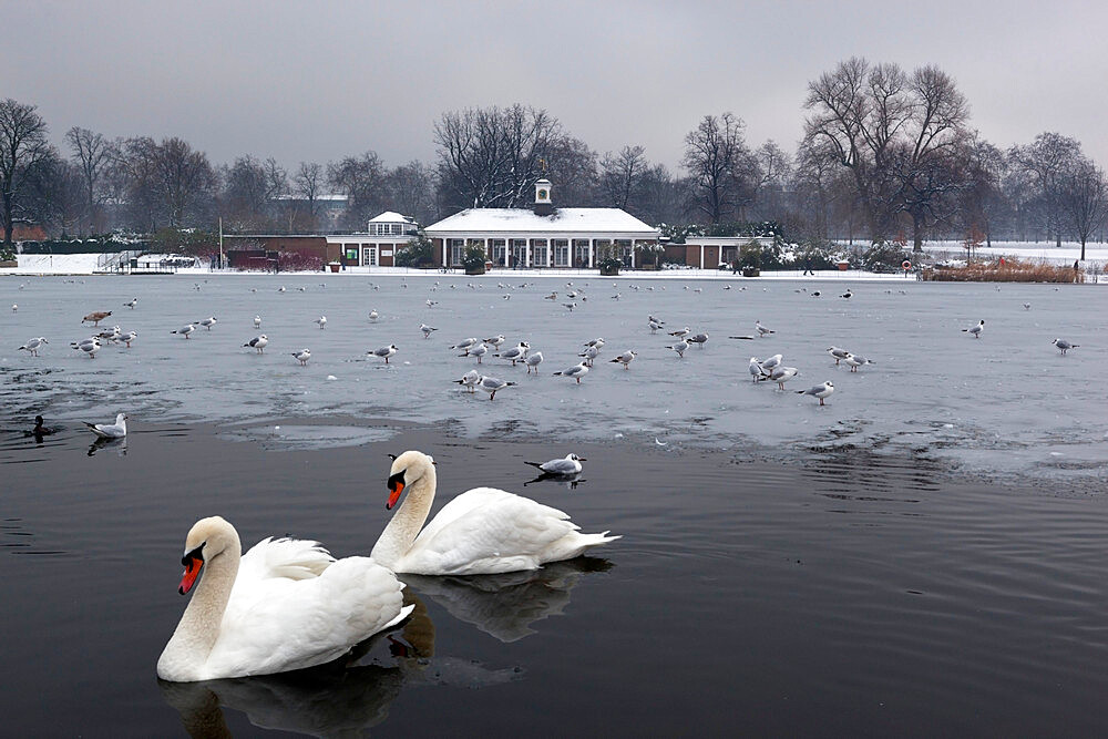 The Serpentine in winter, Hyde Park, London, England, United Kingdom, Europe