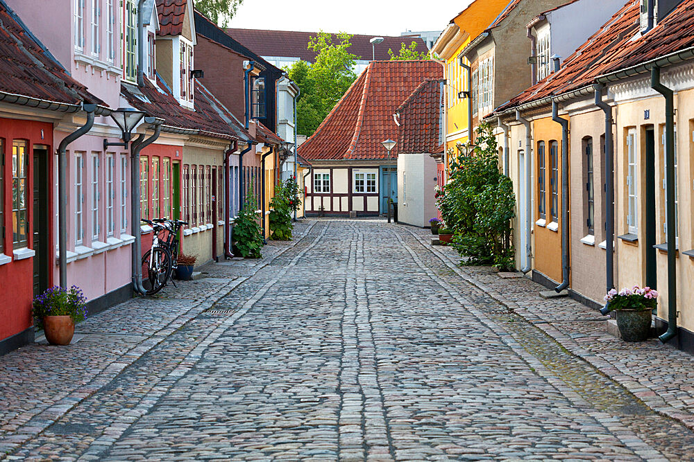 Cobblestone alley in the old poor quarter, City of Beggars, Odense, Funen, Denmark, Scandinavia, Europe