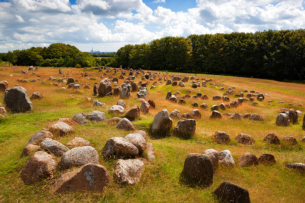 Viking burial ground, Lindholm Hoje, Aalborg, Jutland, Denmark, Scandinavia, Europe