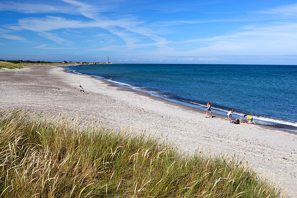 Skagen Sonderstrand beach, Skagen, Jutland, Denmark, Scandinavia, Europe