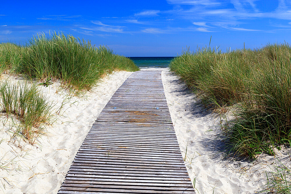 Path through sand dunes to beach, Albaek, North Jutland, Denmark, Scandinavia, Europe