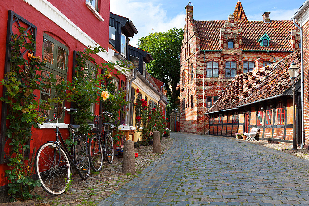 Cobblestone alley in the old town, Ribe, Jutland, Denmark, Scandinavia, Europe