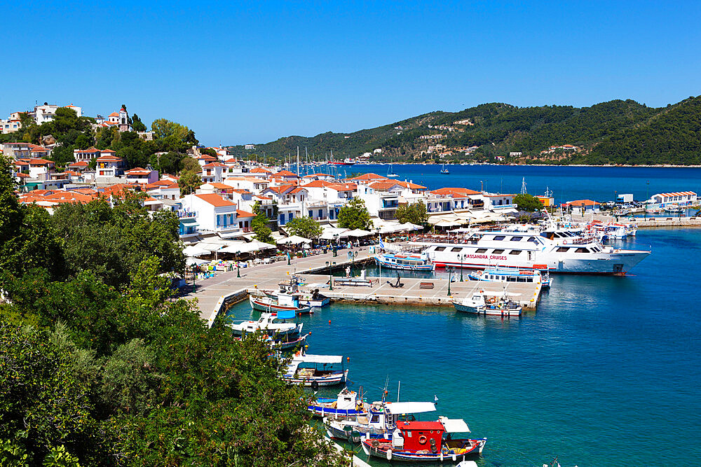 Harbour, Skiathos Town, Skiathos Island, Sporades Islands, Greek Islands, Greece, Europe