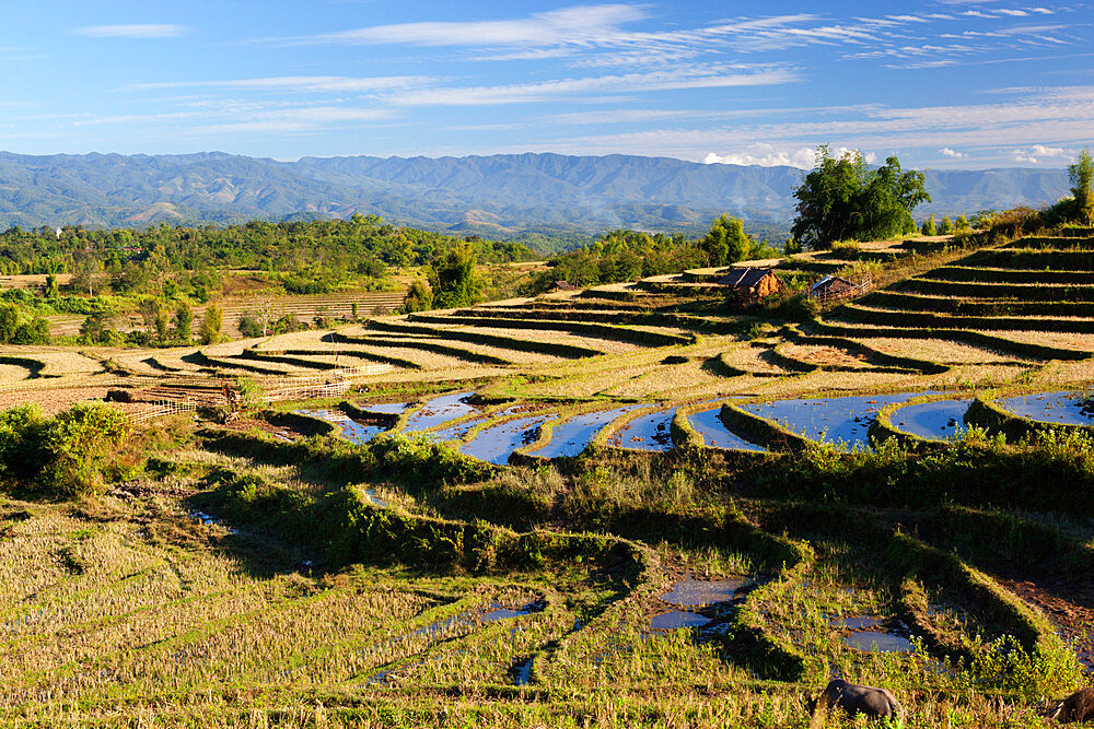 Terraced rice fields and Shan hills, near Kengtung, Shan State, Myanmar (Burma), Asia