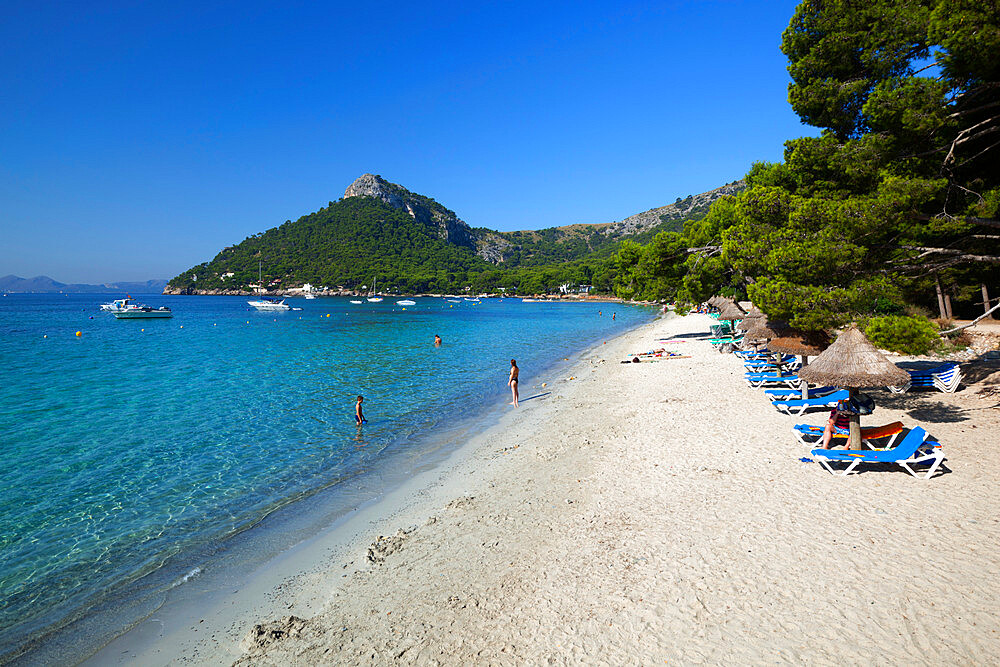 Platja Formentor, near Port de Pollenca (Puerto Pollensa), Mallorca (Majorca), Balearic Islands, Spain, Mediterranean, Europe