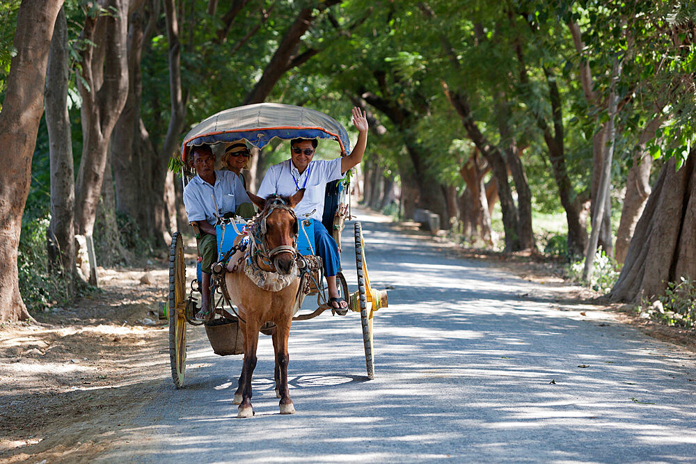 Tourist horse cart on tree lined tracks, Inwa, near Mandalay, Myanmar (Burma), Asia