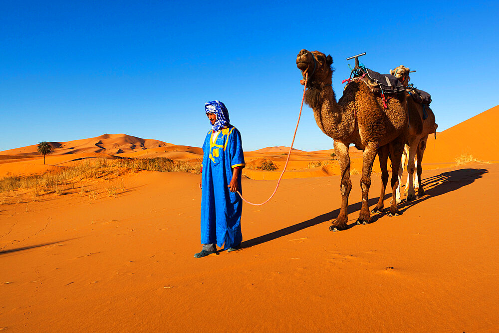 Moroccan camel driver, Dunes of Erg Chebbi, Merzouga, Meknes-Tafilalet, Morocco, North Africa, Africa