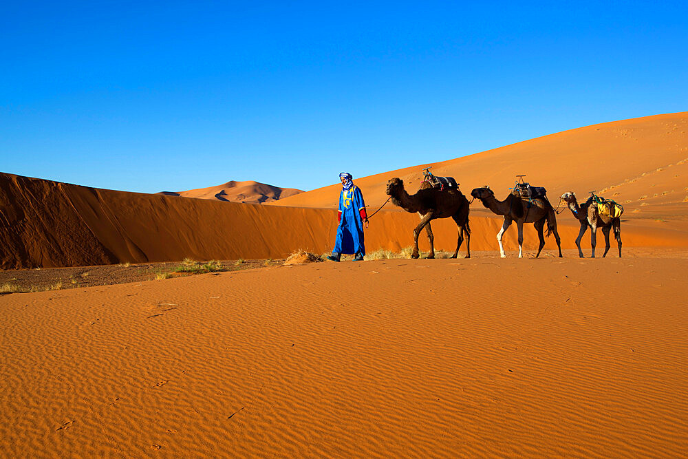 Moroccan camel driver, Dunes of Erg Chebbi, Merzouga, Meknes-Tafilalet, Morocco, North Africa, Africa