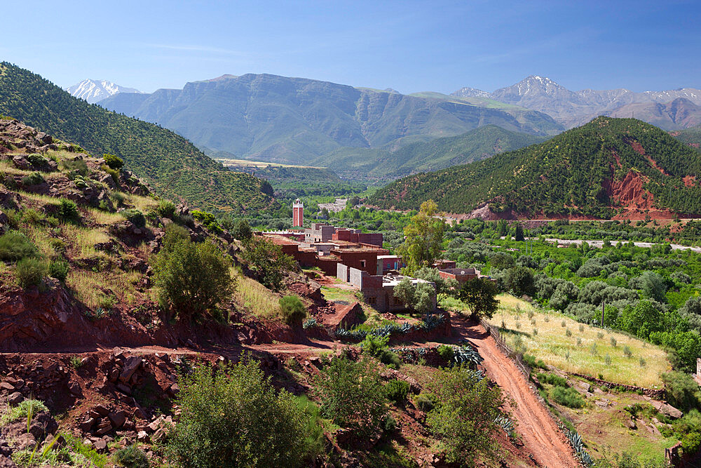 Berber village, Ourika Valley, Atlas Mountains, Morocco, North Africa, Africa