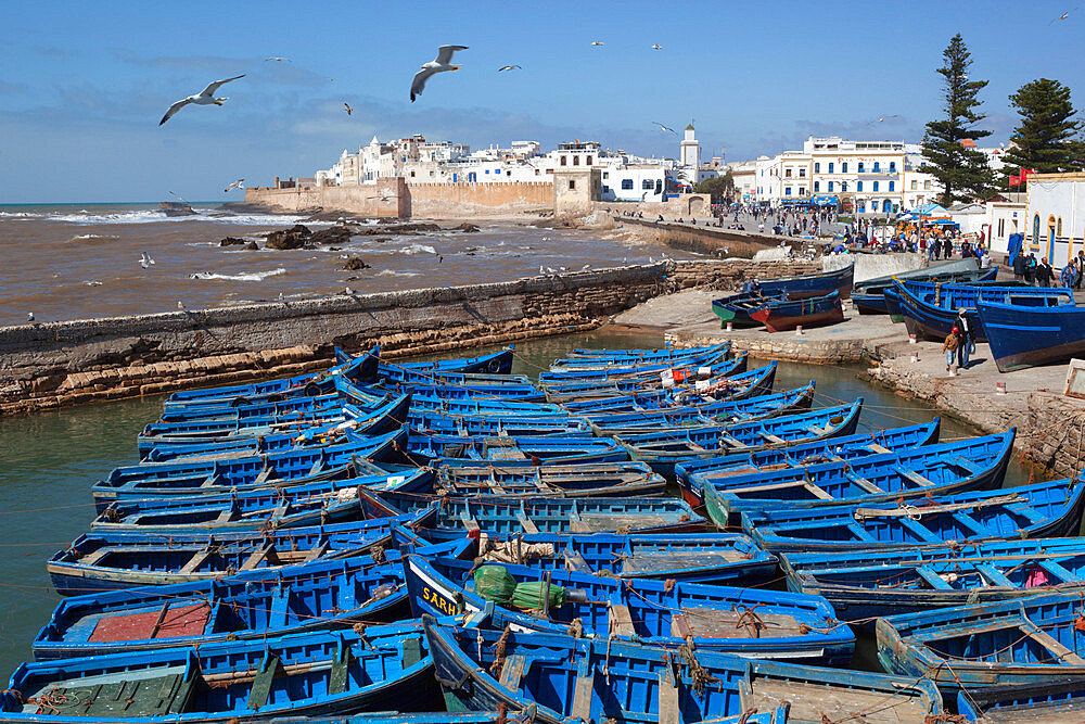 View over the fishing harbour to the ramparts and medina, Essaouira, Atlantic coast, Morocco, North Africa, Africa