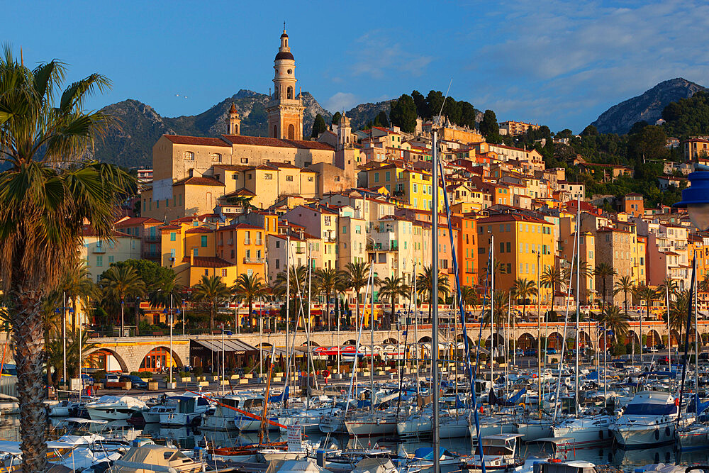 View over old town and port, Menton, Provence-Alpes-Cote d'Azur, French Riviera, Provence, France, Mediterranean, Europe